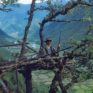 Enlarged view of image