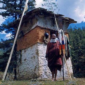 Enlarged view of image