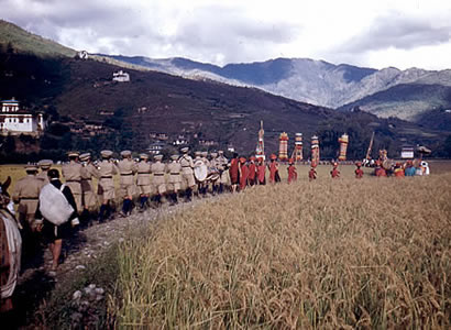 Enlarged view of image