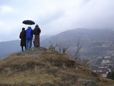 Enlarged view of image