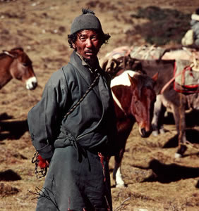 Enlarged view of image