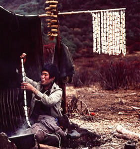 Enlarged view of image