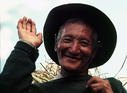 Enlarged view of image