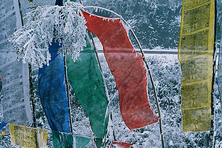 Enlarged view of image