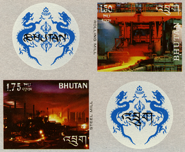 Enlarged view of image